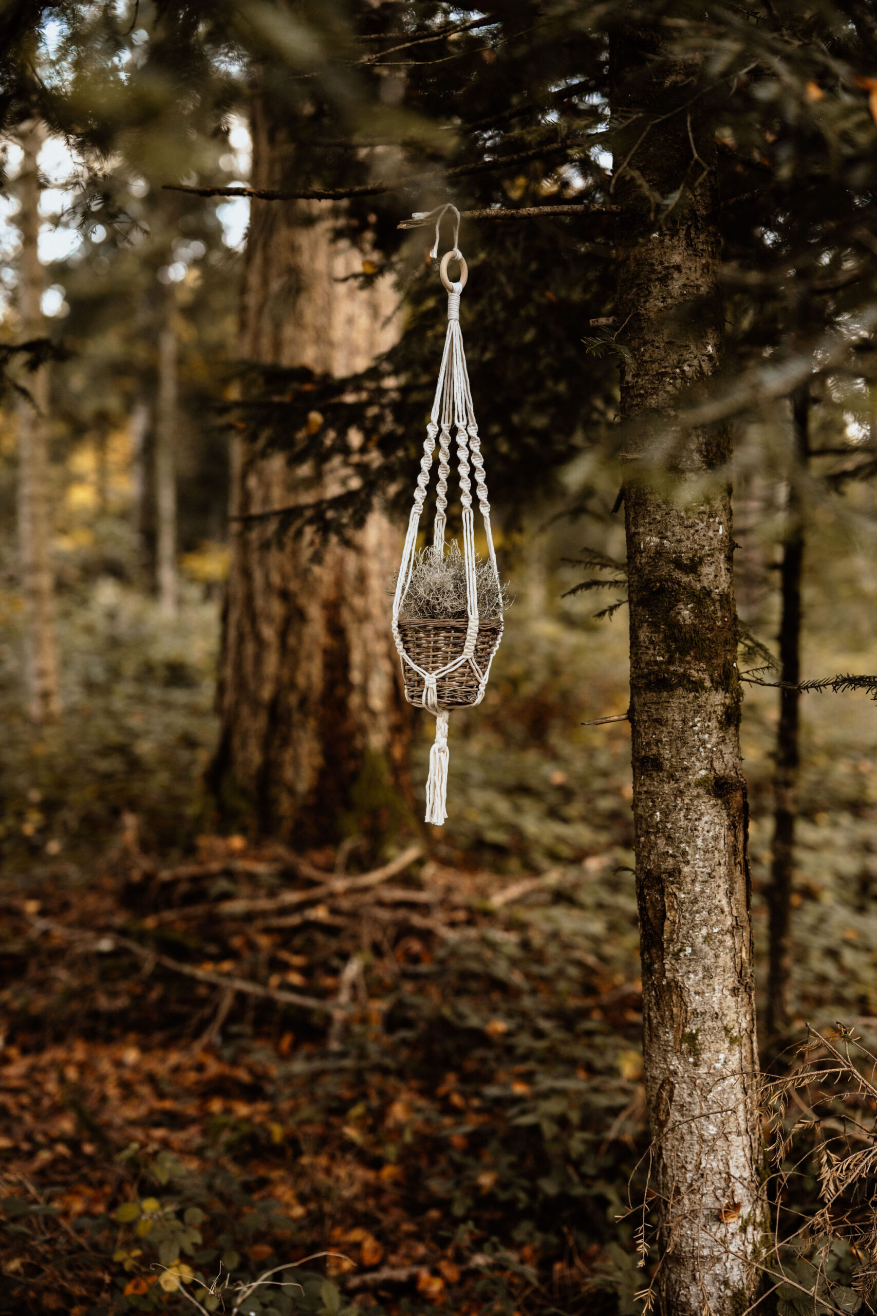 Blumenampel – Bild 2